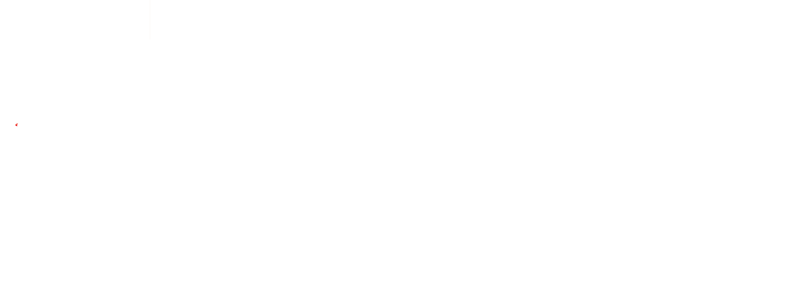 JOPA-Umzug24